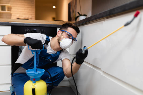 Best Flea Control Services  in Helena, OK