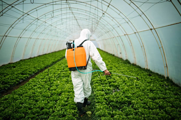 Pest Prevention Services in Helena, OK
