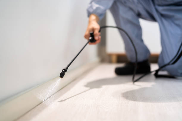 Best Local Pest Control Services  in Helena, OK