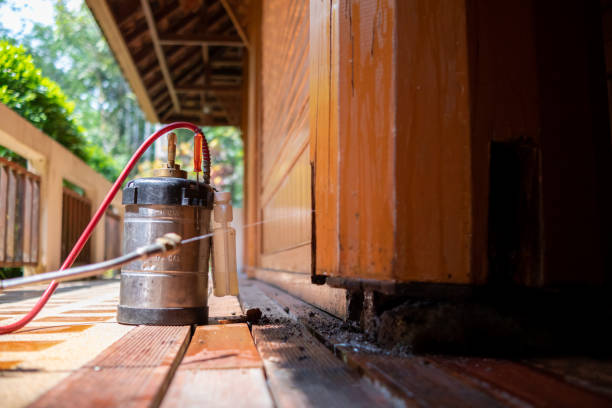 Best Ant Control Services  in Helena, OK