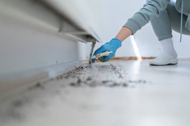 Best Rat Extermination Near Me  in Helena, OK